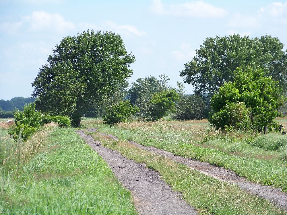 Wiemerstedt in Dithmarschen